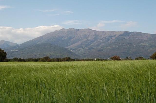 Turo De L'Home Santa María de Palautordera Kültér fotó